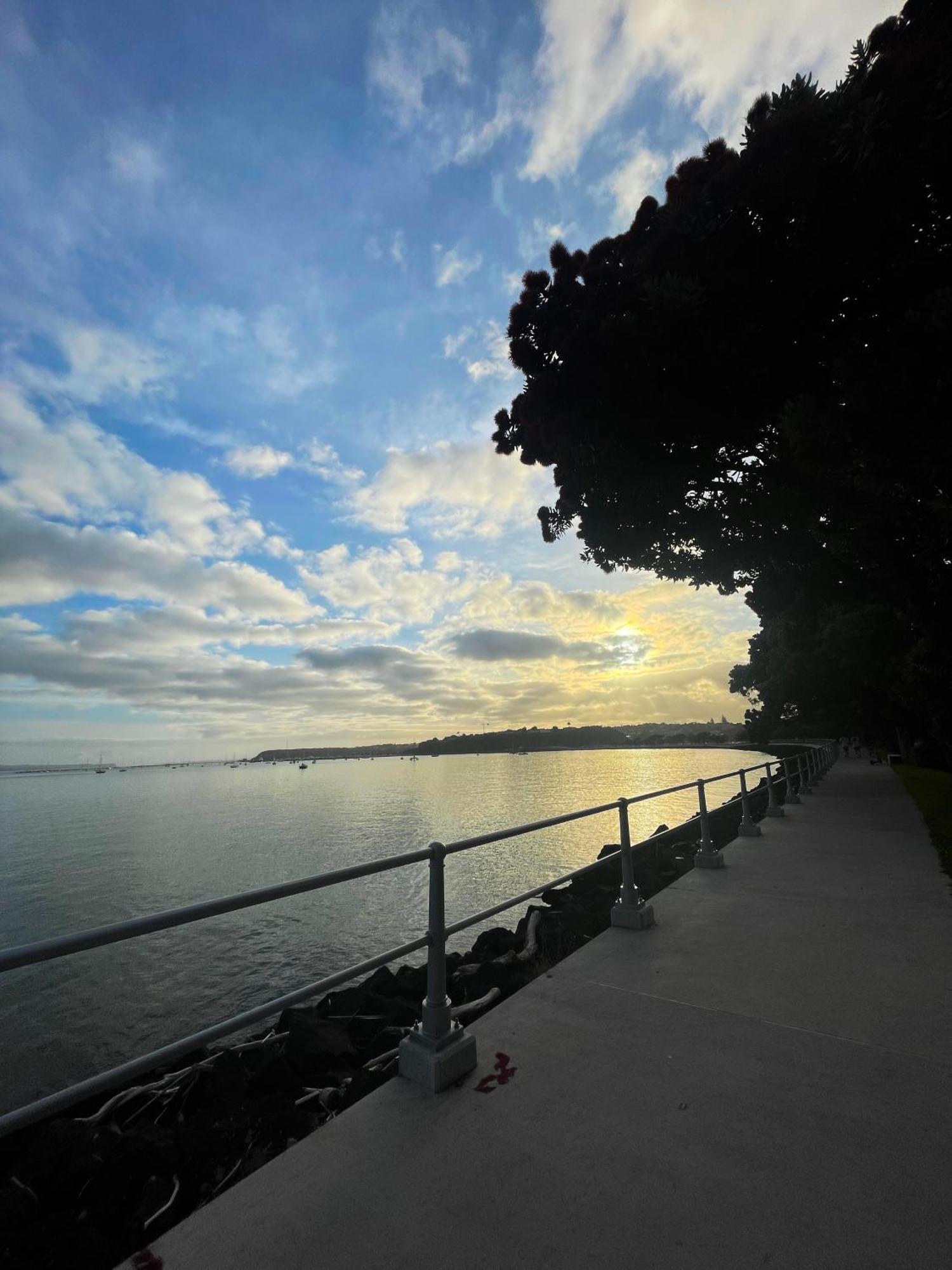 Luxury Apartment - Parking - Hot Tub - Stunning Views Auckland Zewnętrze zdjęcie